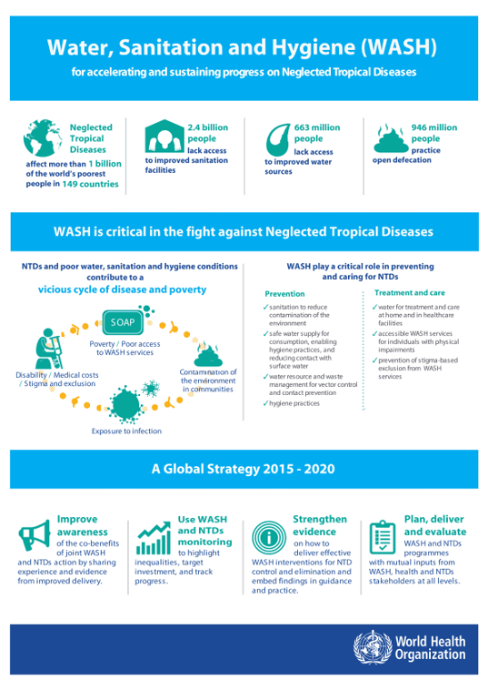 416181-Water Sanitation and Hygiene for accelerating and sustaining progress on Neglected Tropical Diseases_infographic