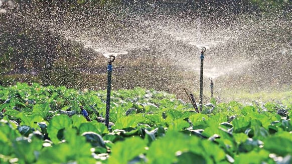 746858-irrigation-drip-thinkstock-102418