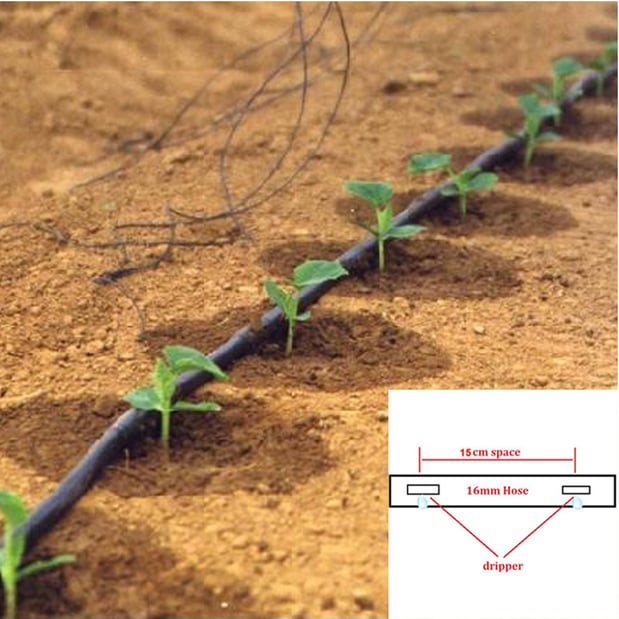 Agriculture-Vegetable-Garden-Drip-Irrigation-Belt-Watering-System-Garden-Drip-Irrigation-Tape