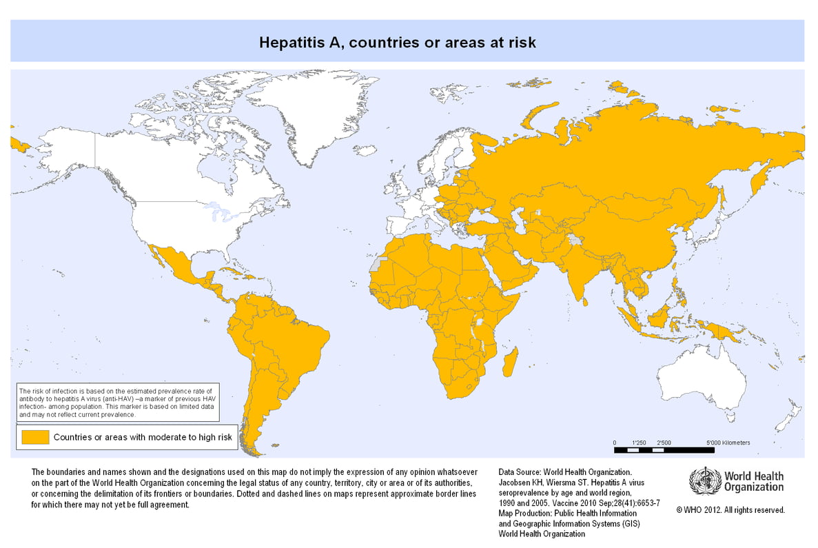 An image showing world map highlighting the countries with moderate to high risk of Hepatitis A 