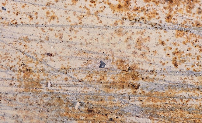 001-figure3-shutterstock_607093718_Figure3_2