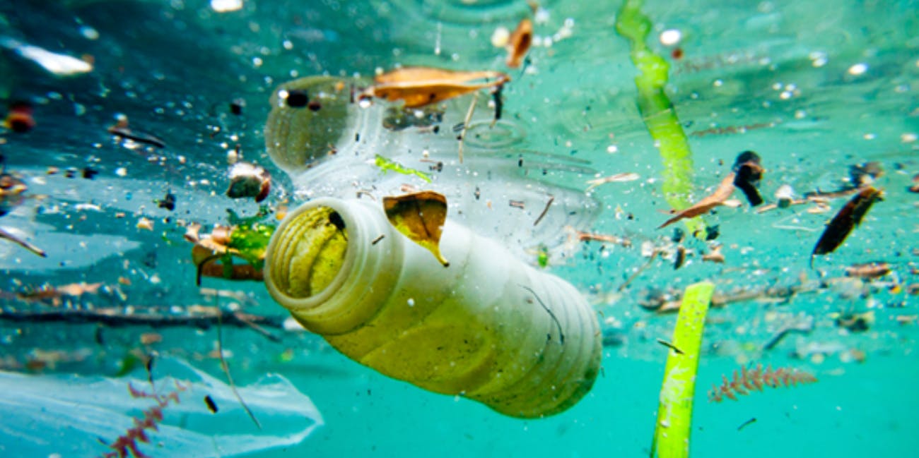 Are We Drinking Synthetic Polymer