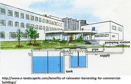 Rainwater-Harvest.jpg