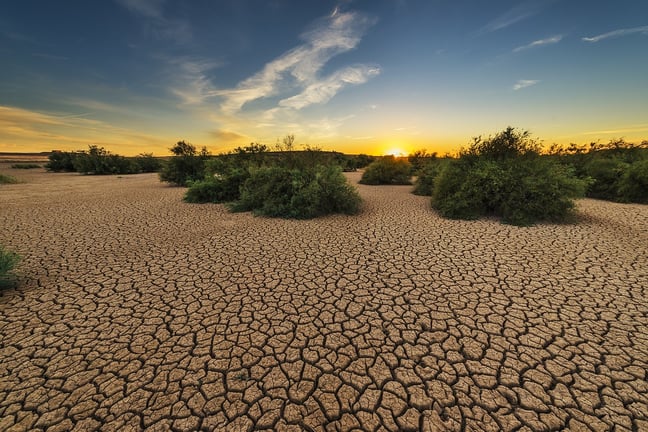 Water Crisis